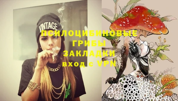 мдпв Волоколамск