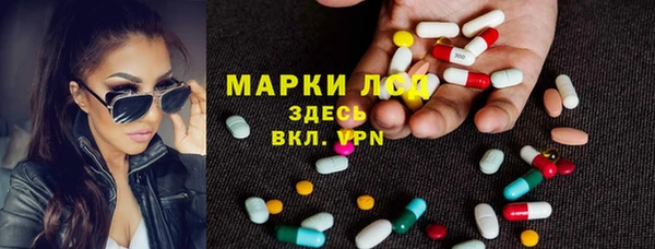 ALPHA PVP Снежногорск