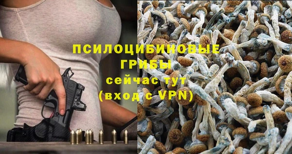 мдпв Волоколамск