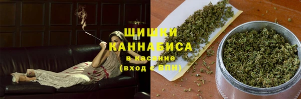 МДПВ Снежинск