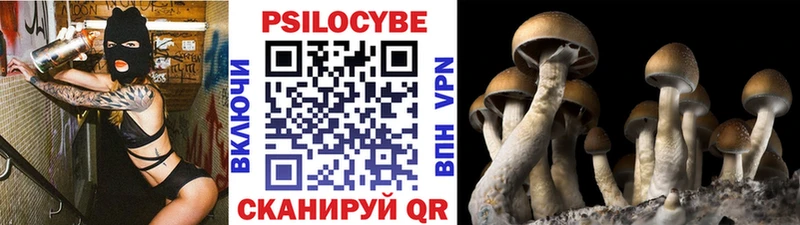 Галлюциногенные грибы GOLDEN TEACHER  купить закладку  Поворино 