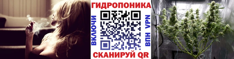 Канабис планчик  блэк спрут как зайти  Поворино 